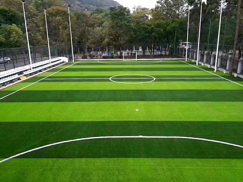 草坪材料近景展示