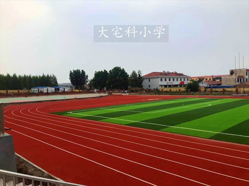 足球场草坪铺设效果