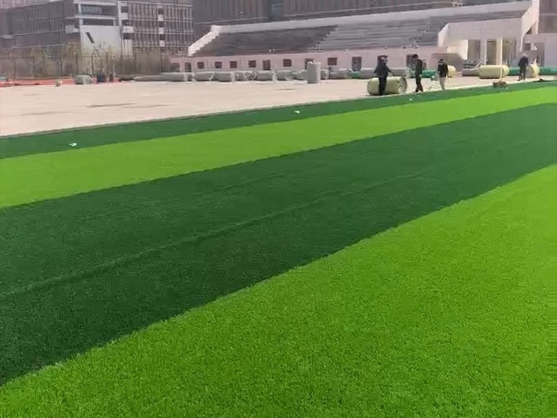 足球场草坪铺设效果