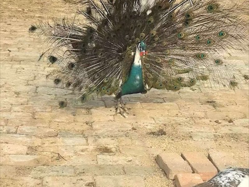 养殖环境实拍