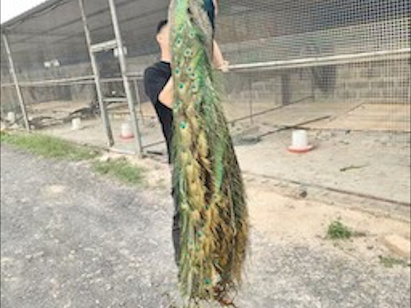 养殖环境实拍