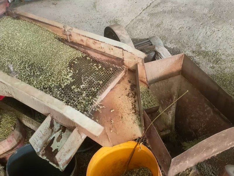 再生塑料颗粒生产现场