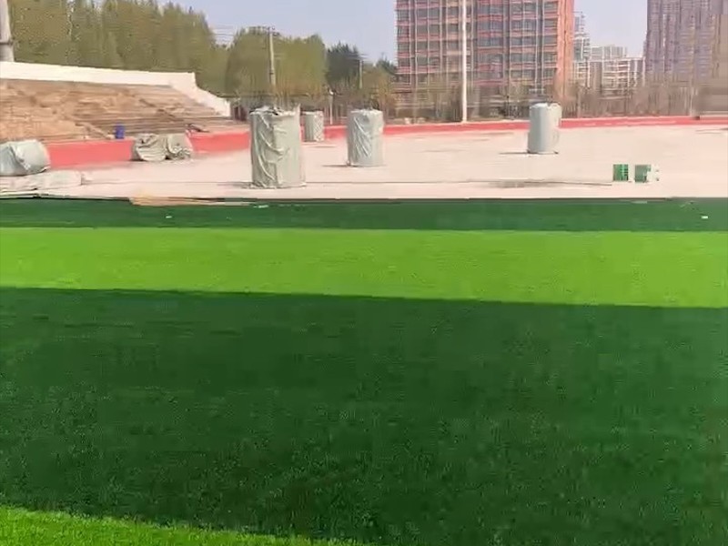 冀州区运动场草坪