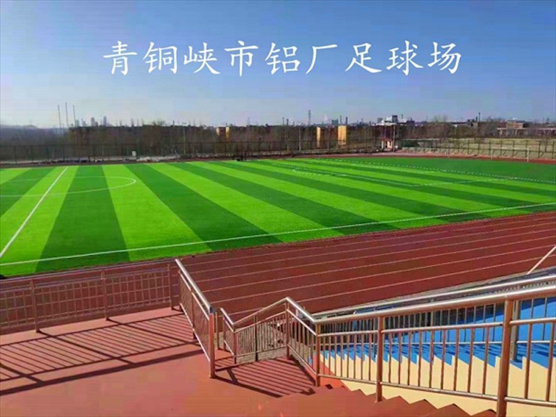 冀州区足球场草坪