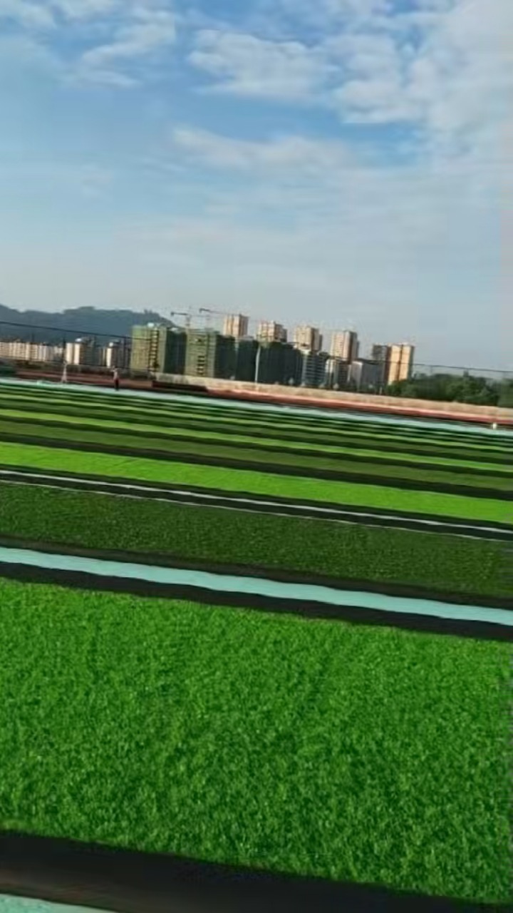 南昌市西湖区足球场草皮修复方法：解决破损问题的实用技巧