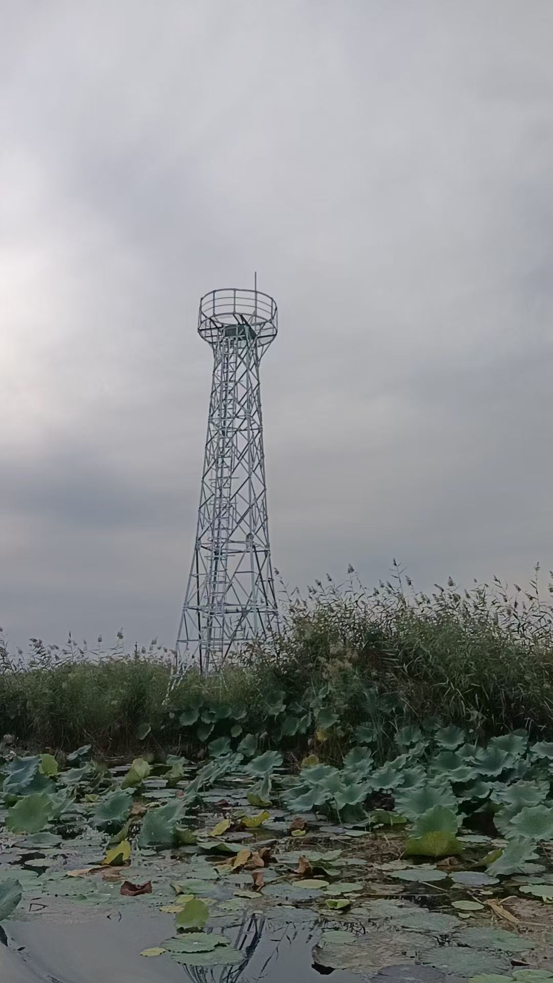 襄阳市保康县电力监控塔在电网安全中的应用价值